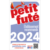Logo Petit futé 2024